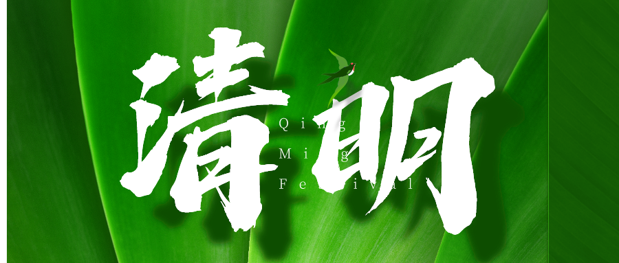 清明寄思 | 不负春光，蓄力前行